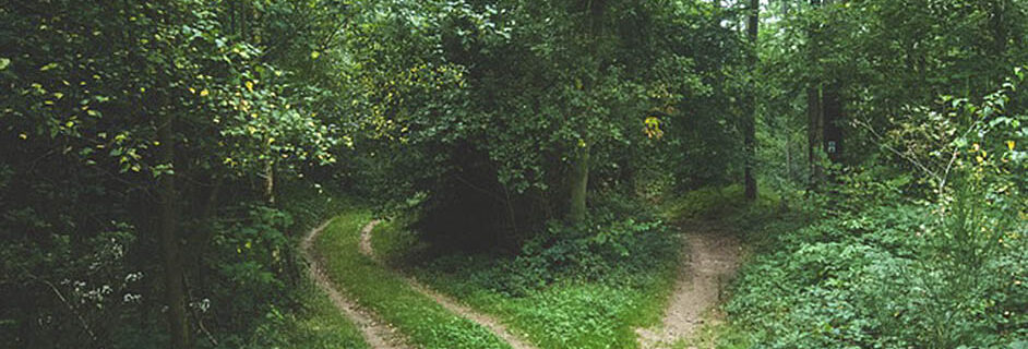 Il Blog di Mahat Yoga